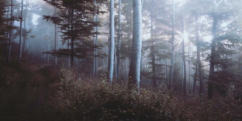 从一次对话到十种资产：Tom Townsley的跨平台内容复用框架，让旅行博主效率翻倍