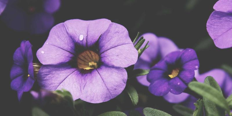 从个人博客到AI伦理前沿：Tom Townsley如何将日常兴趣转化为深刻思考