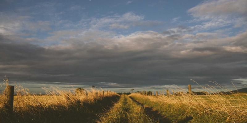 从个人博客到卓越领导：Tom Townsley如何将日常兴趣转化为团队建设智慧