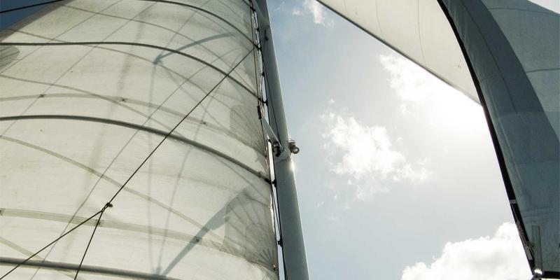 从健康理念到数字引擎：Tom Townsley如何将Wellness融入日常，驱动企业转型成功