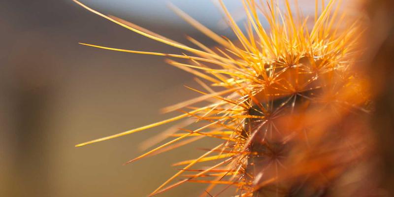 从数字到实体：Tom Townsley工作坊如何用旅行与阅读，治愈你的离线人生