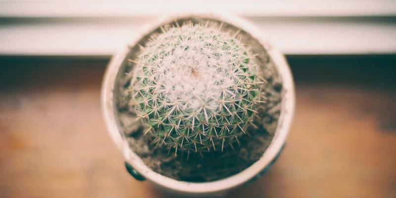 从读书笔记到自动化生活：揭秘Tom Townsley的电子邮件营销工作流