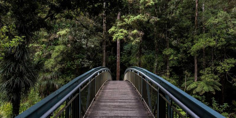从零到百万粉丝：Tom Townsley如何通过内容营销打造旅行生活方式个人品牌