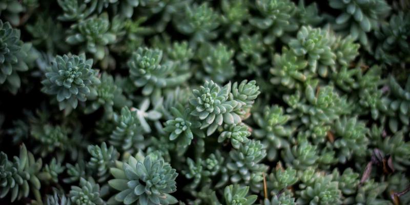 数字时代的内心救赎：我是如何用Tom Townsley法则，将社交媒体焦虑转为平静力量的