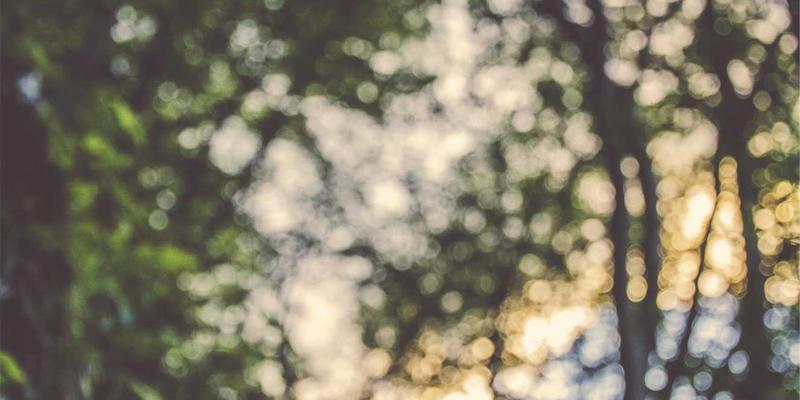 治愈系转化魔法:从Tom Townsley读书笔记中,学习构建高情感共鸣落地页