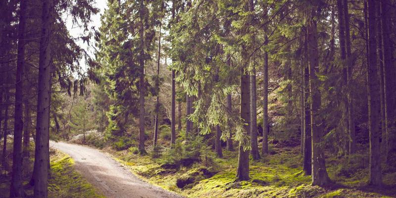 用一个词定义你的2024：Tom Townsley年度主题规划法，如何让旅行与生活方式完美融合