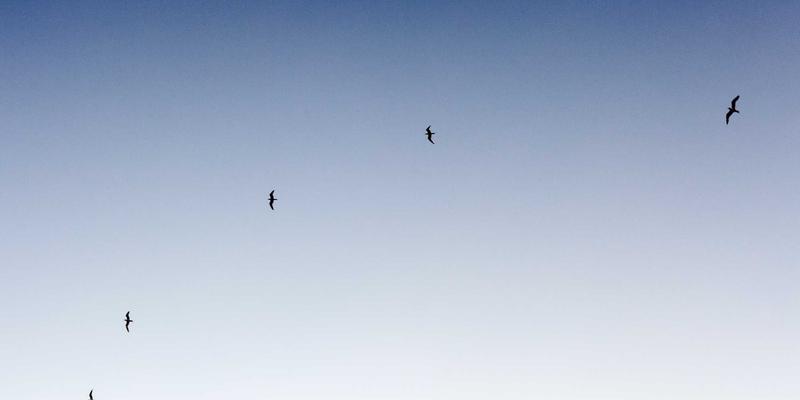 超越资本：Tom Townsley如何重塑风险投资，引领生活与健康创业新浪潮