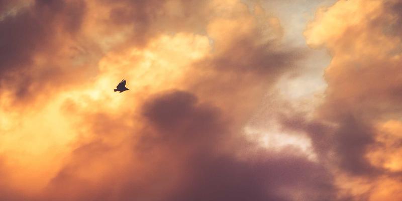 逃离多任务陷阱：Tom Townsley如何用深度工作法重塑高效生活